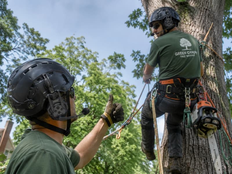How to choose the right arborist communication system