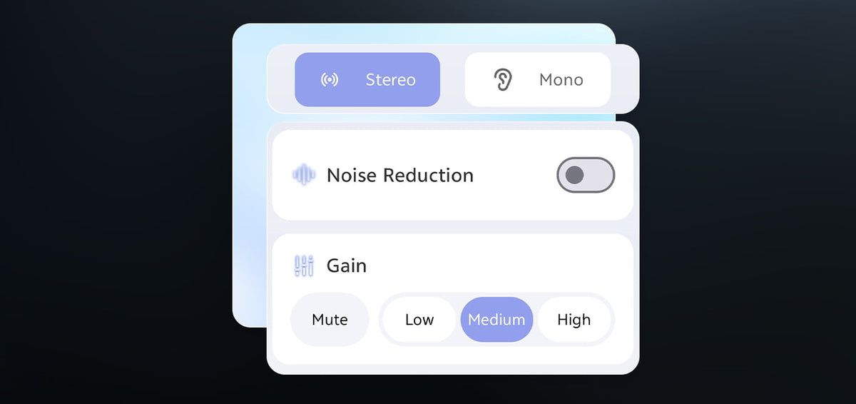 Audio adjustments include choice of recording modes, noise reduction, and gain control.