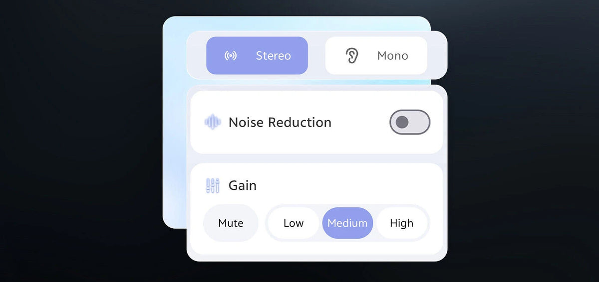 Audio adjustments include choice of recording modes, noise reduction, and gain control.